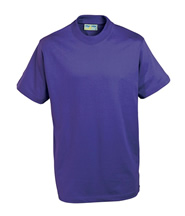P.E. T-Shirt (Royal Blue) - with Logo  St Pauls